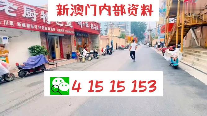 2024澳门天天开好彩大全，精准解答解释落实_GM版65.52.54