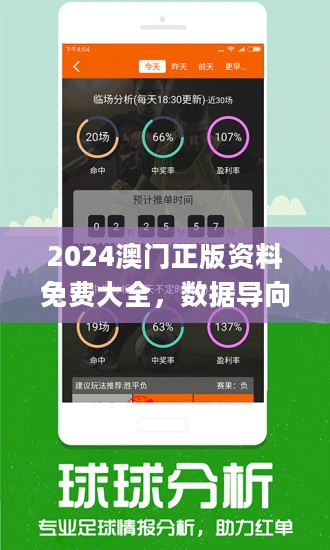 2024年新澳资料免费大全|精选解释解析落实